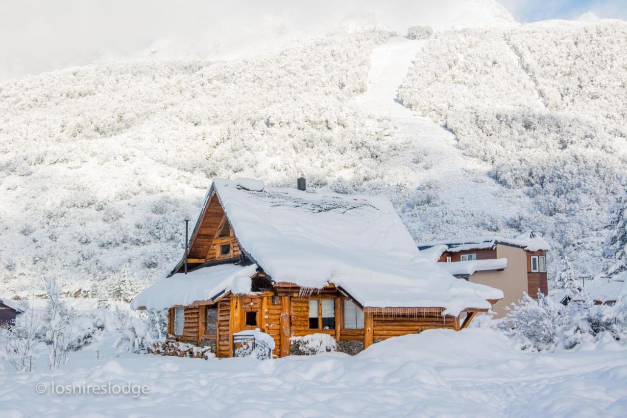 Los Nires Lodge Cerro Catedral ซานคาร์ลอส เด บาริโลเช ห้อง รูปภาพ